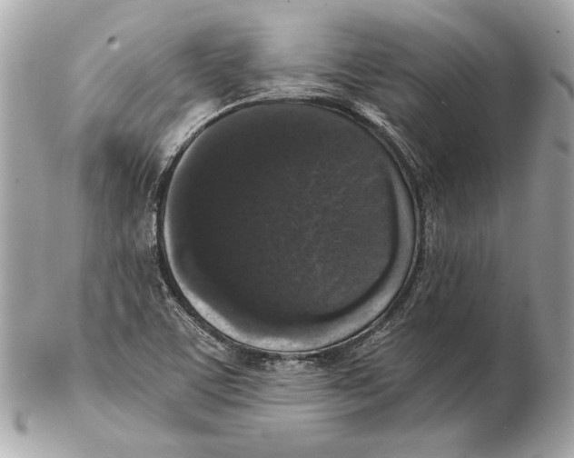 X0000102481459200808291616