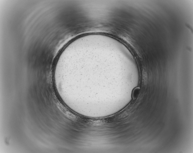 X0000102481460200808291616