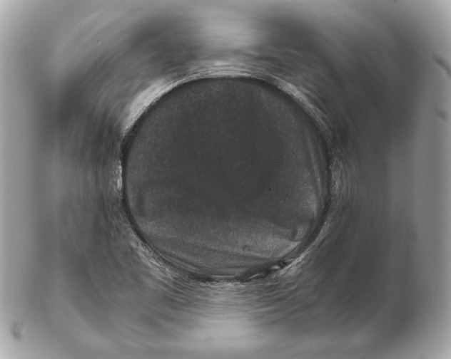 X0000102481461200808291616