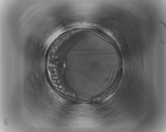 X0000102481463200808291616