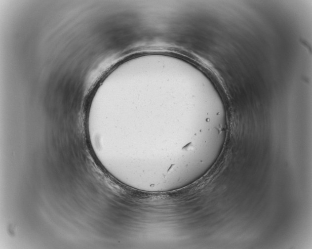 X0000102481464200808291616