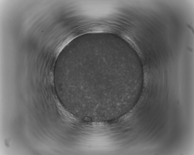 X0000102481465200808291616