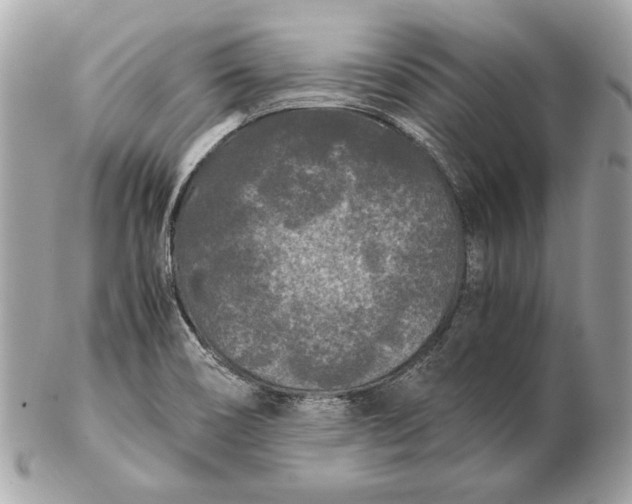 X0000102481466200808291616