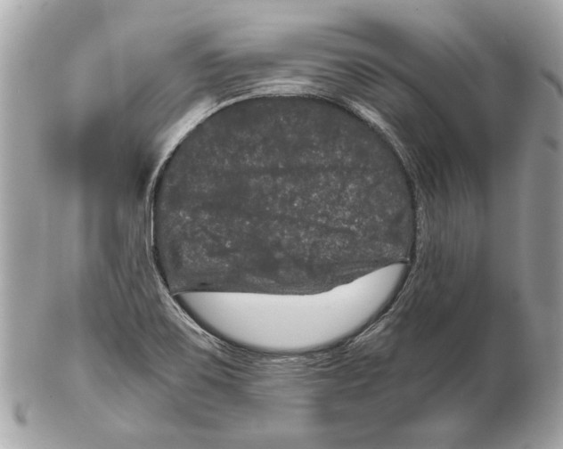 X0000102481467200808291616