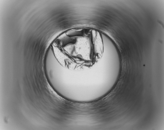 X0000102481468200808291616