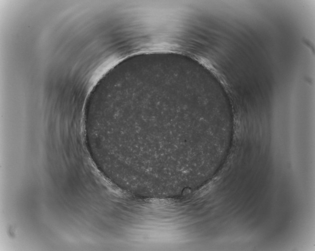 X0000102481469200808291616