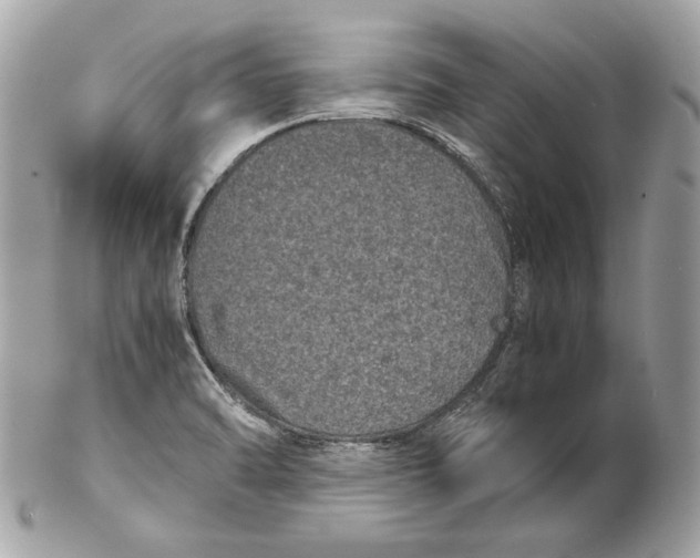 X0000102481470200808291616