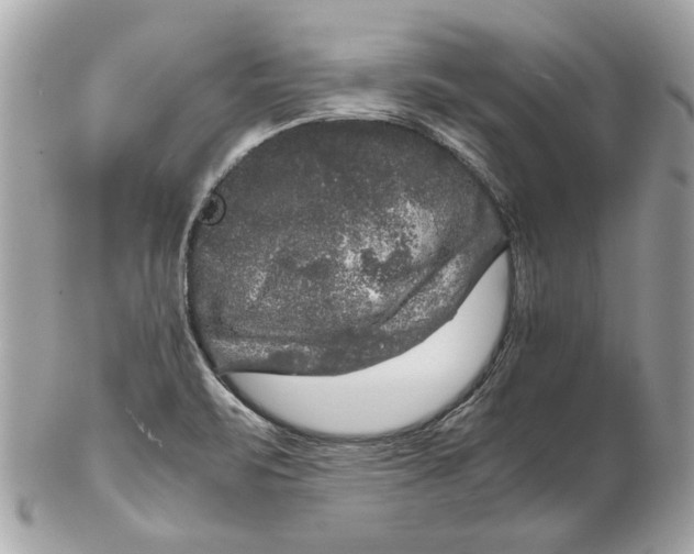 X0000102481471200808291616