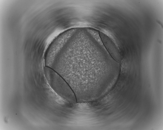 X0000102481472200808291616