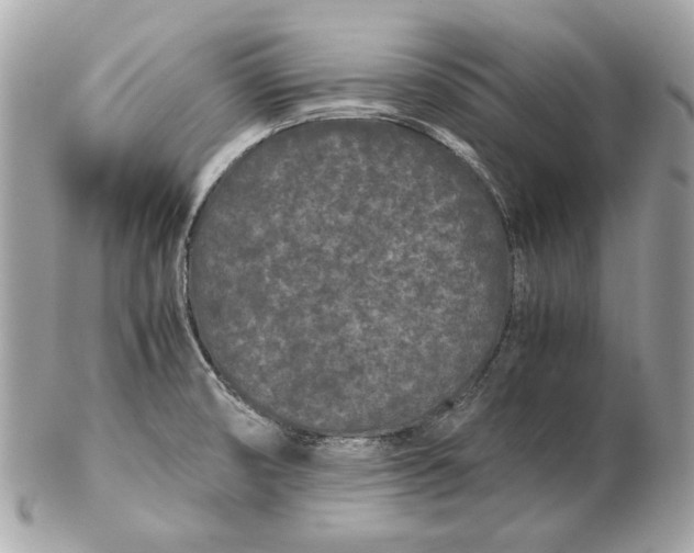 X0000102481474200808291616