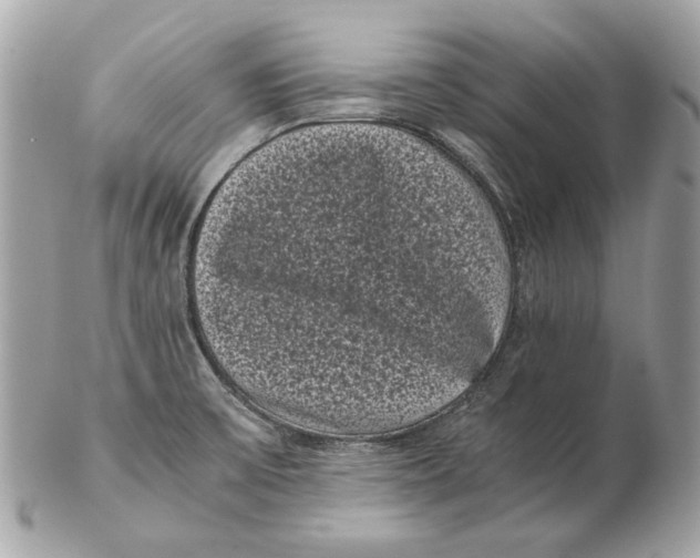 X0000102481475200808291616