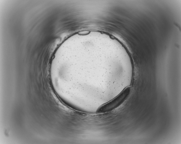 X0000102481477200808291616