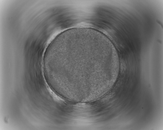 X0000102481478200808291616