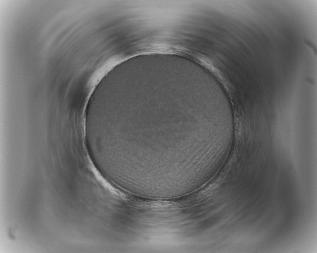 X0000102481479200808291616