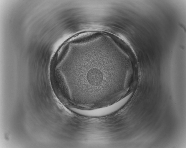 X0000102481480200808291616