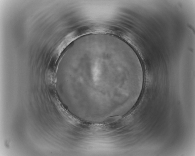 X0000102481481200808291616