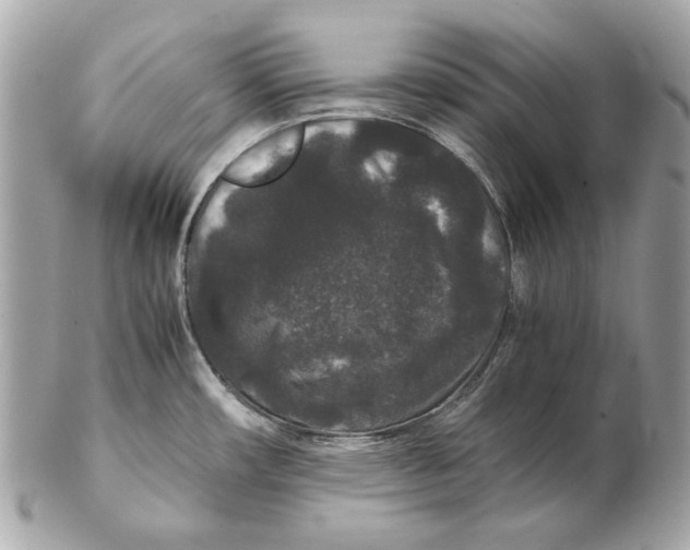 X0000102481482200808291616