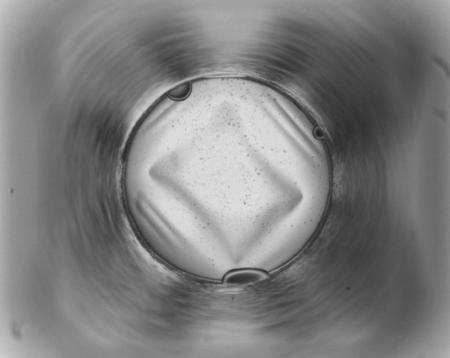 X0000102481484200808291616