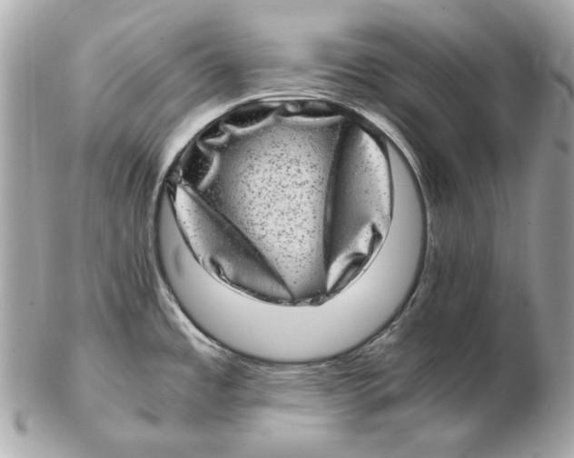 X0000102481485200808291616