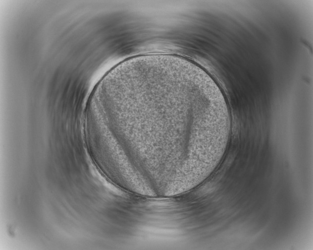 X0000102481486200808291616