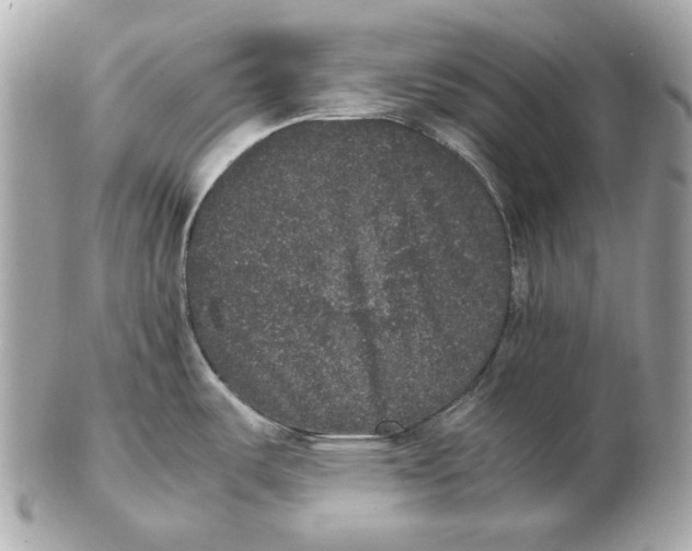 X0000102481487200808291616