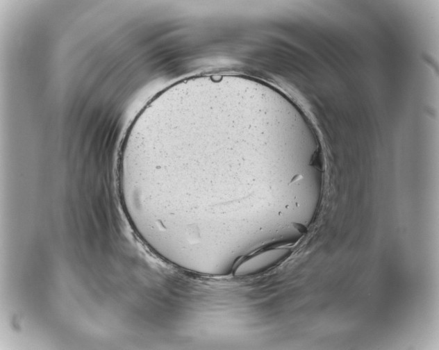 X0000102481488200808291616