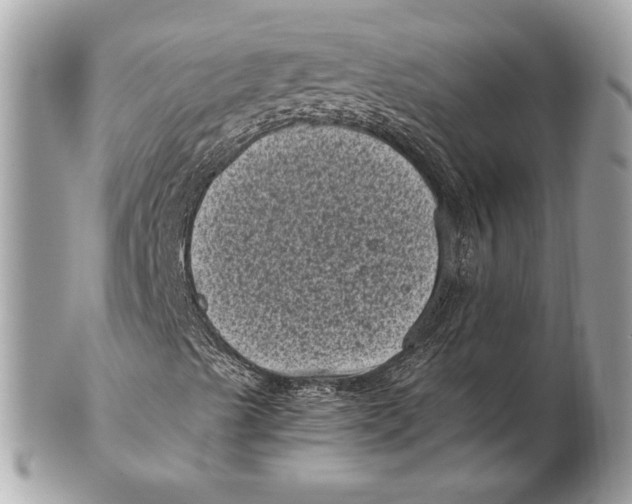 X0000102481489200808291615