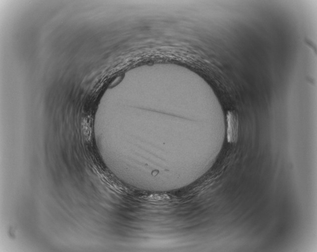 X0000102481491200808291615