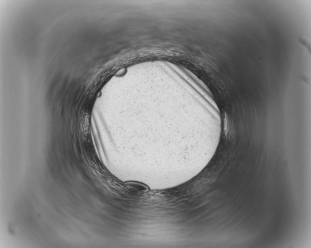 X0000102481492200808291615