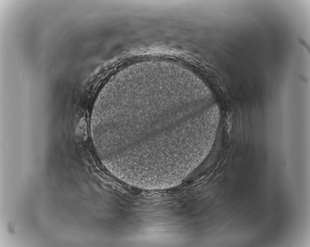 X0000102481493200808291615