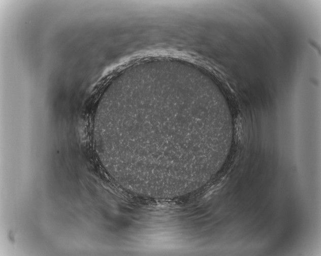 X0000102481494200808291615