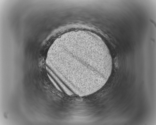 X0000102481495200808291615