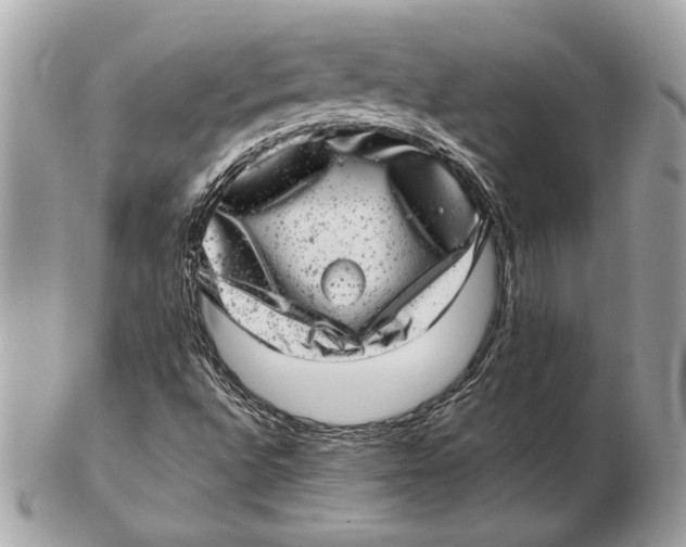 X0000102481496200808291615