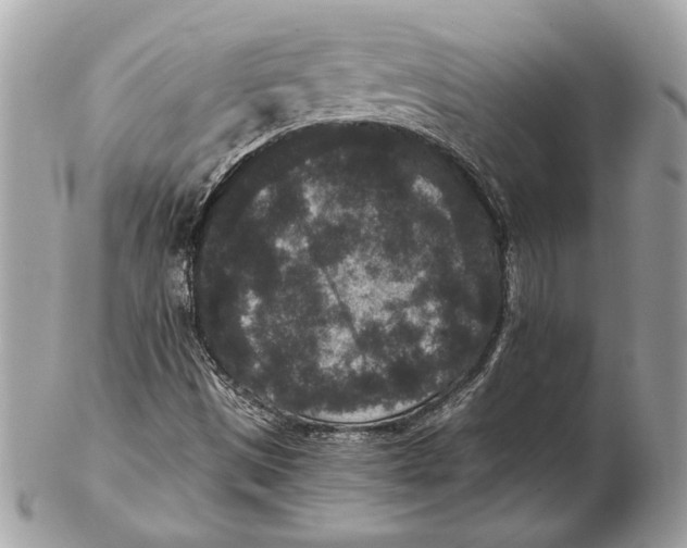 X0000102481497200808291615