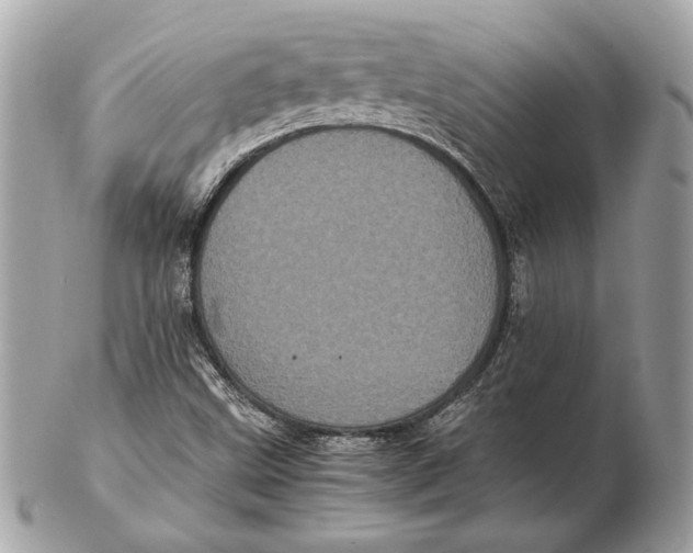 X0000102481499200808291615