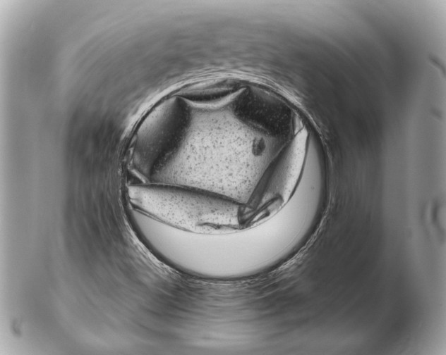 X0000102481500200808291615