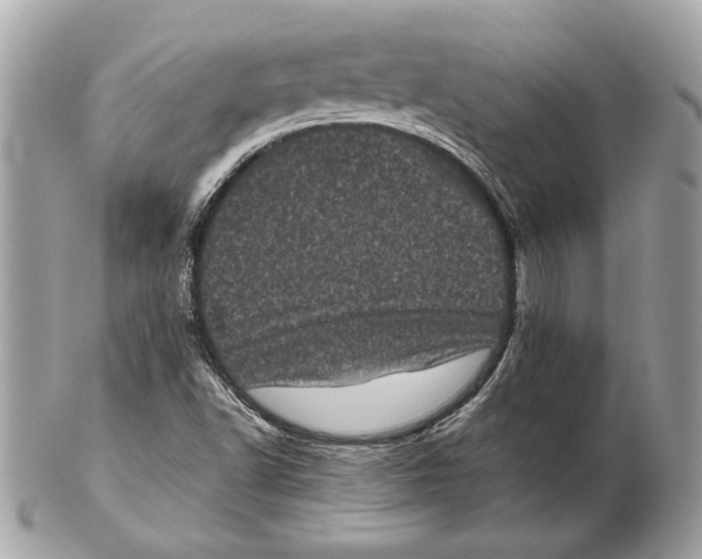 X0000102481502200808291615