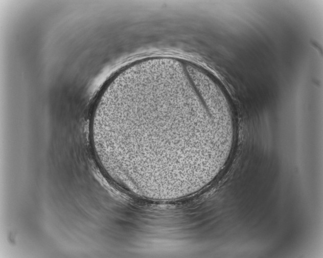 X0000102481503200808291615