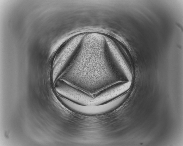 X0000102481504200808291615