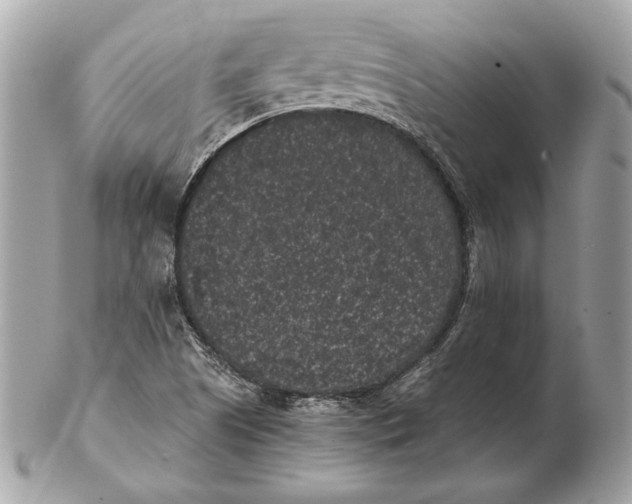 X0000102481505200808291615