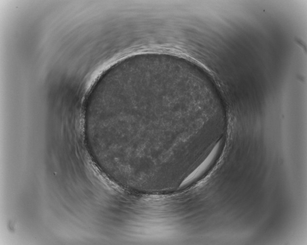 X0000102481506200808291616