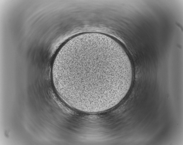 X0000102481507200808291616