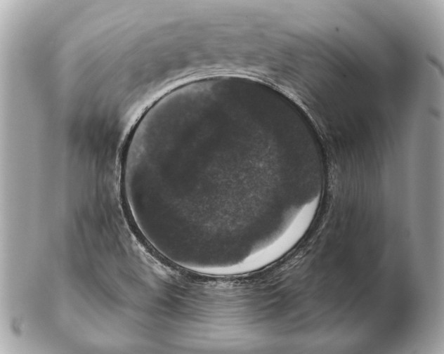 X0000102481508200808291616