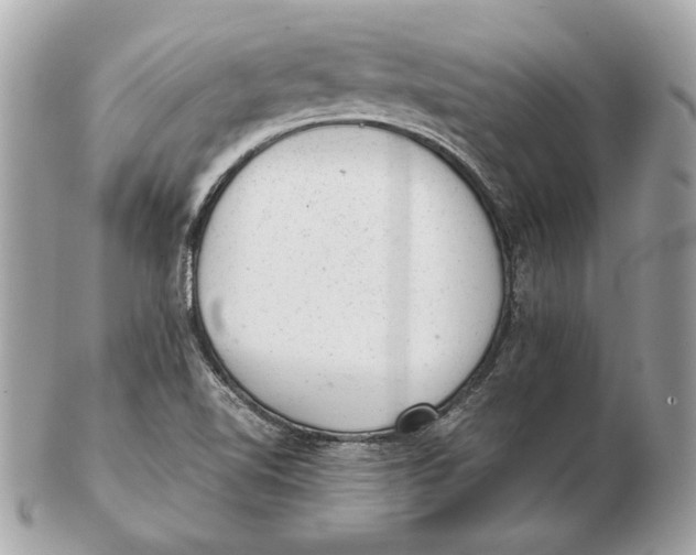 X0000102481510200808291616