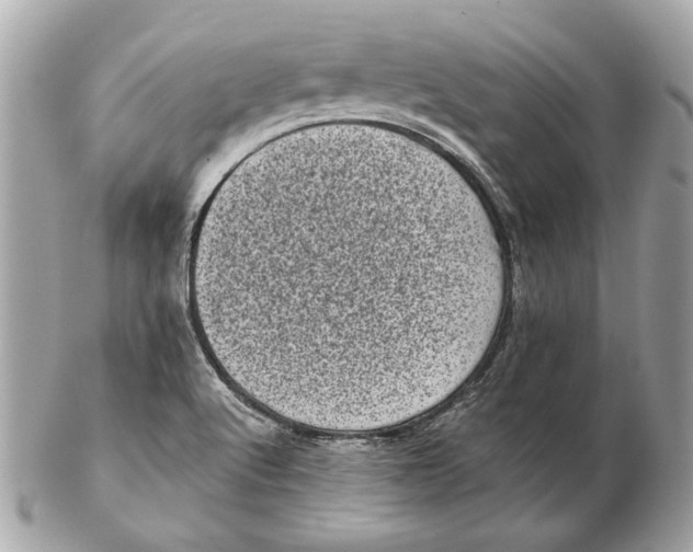 X0000102481512200808291616