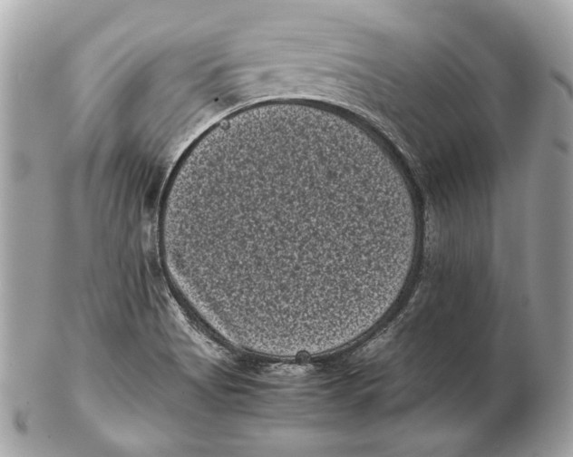 X0000102481513200808291616