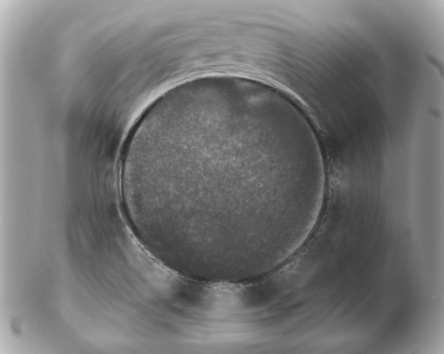 X0000102481514200808291616