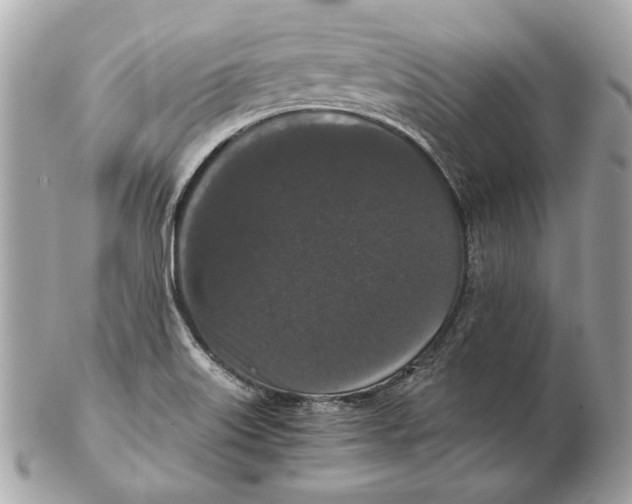 X0000102481515200808291616