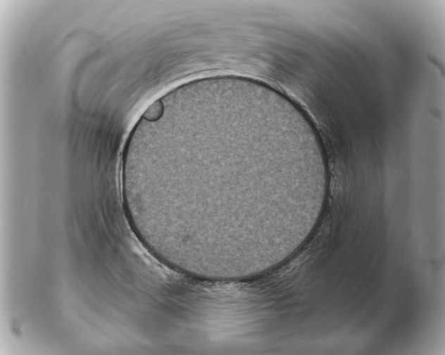 X0000102481516200808291616