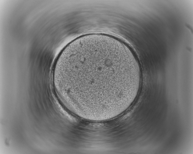 X0000102481517200808291616